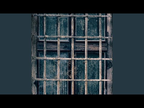 Perfect Fallen Feat Shani Rose 