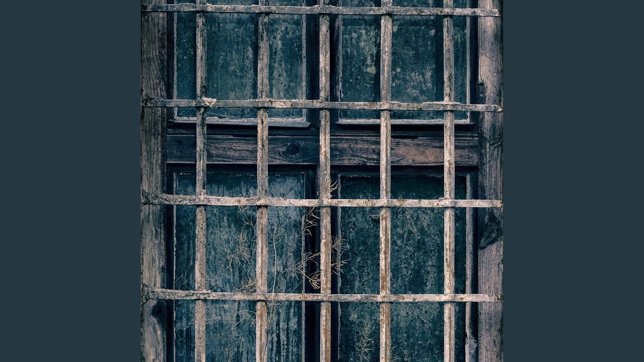 Obejrzyj Perfect Fallen (feat. Shani Rose) w YouTube Obejrzyj Perfect Fallen (feat. Shani Rose) w YouTube