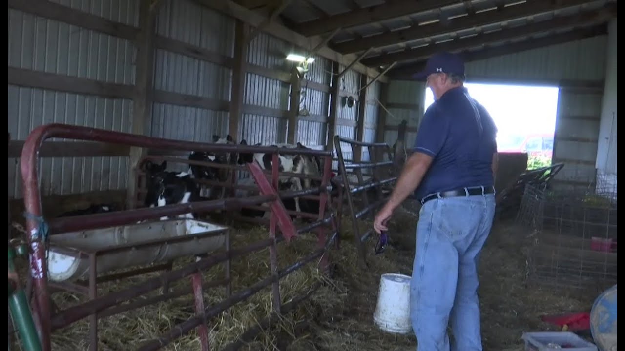 Local dairy farmer reacts to news of trade deal with Canada, Mexico