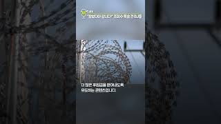 Were Going To Cambodia Bjs Risk Their Lives For Views Shorts