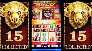 🤜🏻💥15 GOLD HEADS COLLECTED - SUPER JACKPOT WON!! - Min Bet - Buffalo Gold Slot screenshot 3