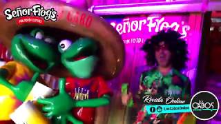 Los Cabos Online / Señor Frogs Los Cabos