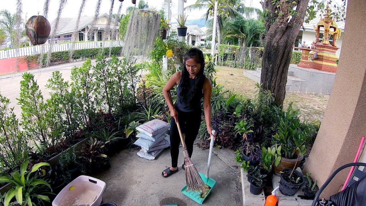 Koi´s kleiner Garten in Hua Hin 🌴 Thailand