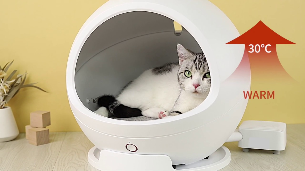 PETKITスマート　ペットハウス　コージー2 スマート・ペットハウス・コージー2 | DADWAY PET DEPARTMENT