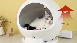 【ビックカメラ】DADWAY提供 「スマート・ペットハウス・コージー2」動画で紹介