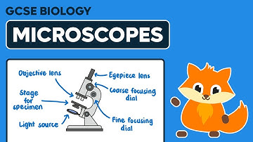 Microscopes - GCSE Biology
