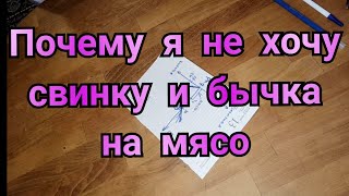 Как выбрать мясо. Почему из домашнего мяса не получается колбаса?