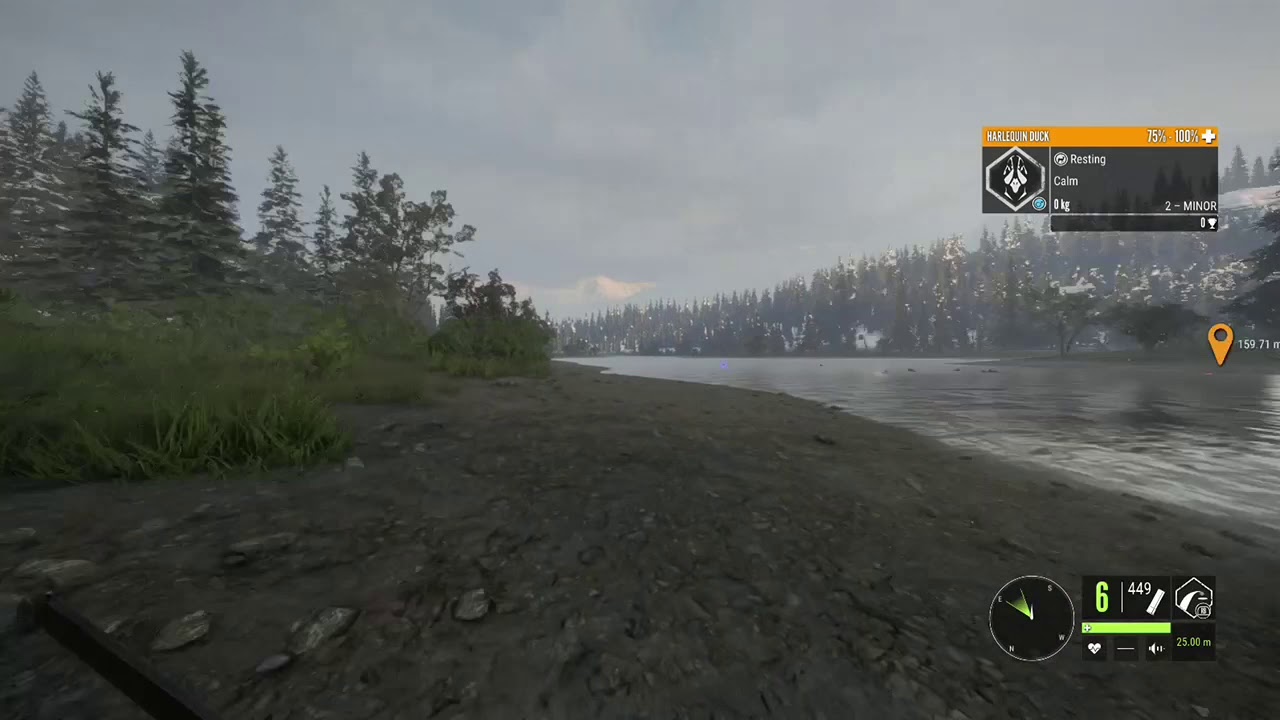 Random animals the hunter call of the wild - YouTube