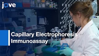Capillary Electrophoresis Immunoassay to Search for Biomarkers | Protocol Preview