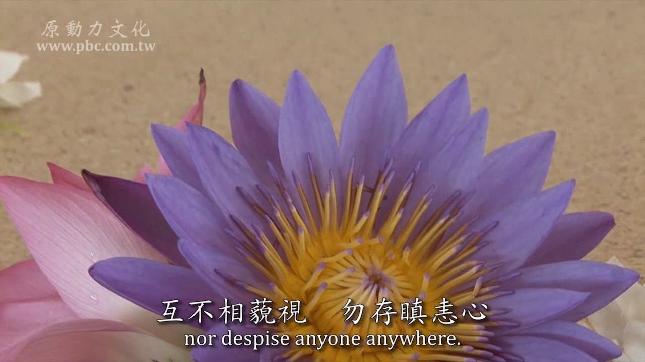 Obejrzyj 梅妮凱 梅妮凱 慈愛經    官方Official 完整版 w YouTube