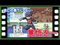 The counterattack by R Part10 「Side Hoenn」