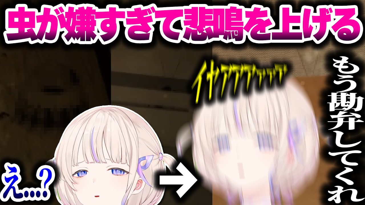 虫が嫌すぎて悲鳴を上げ癇癪を起こすばんちょーｗｗ【ホロライブ切り抜き/轟はじめ/P.T/ReGLOSS/DEV_IS】