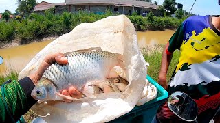 Download Lagu Menjala vs Memukat Ikan Sampai Segundi Air Sungai Kering Udang Galah Pun Ada s408 MP3 Download Lagu Menjala vs Memukat Ikan Sampai Segundi Air Sungai Kering Udang Galah Pun Ada s408 MP3