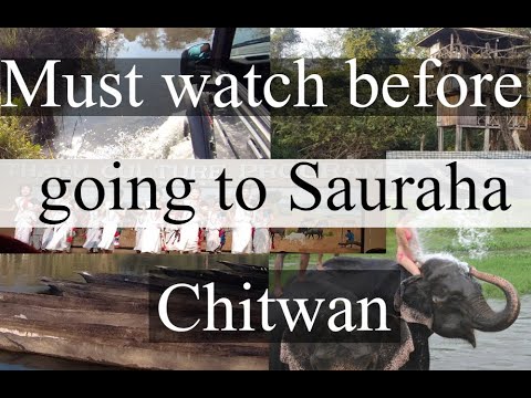 Chitwan Sauraha Tour Complete Guides