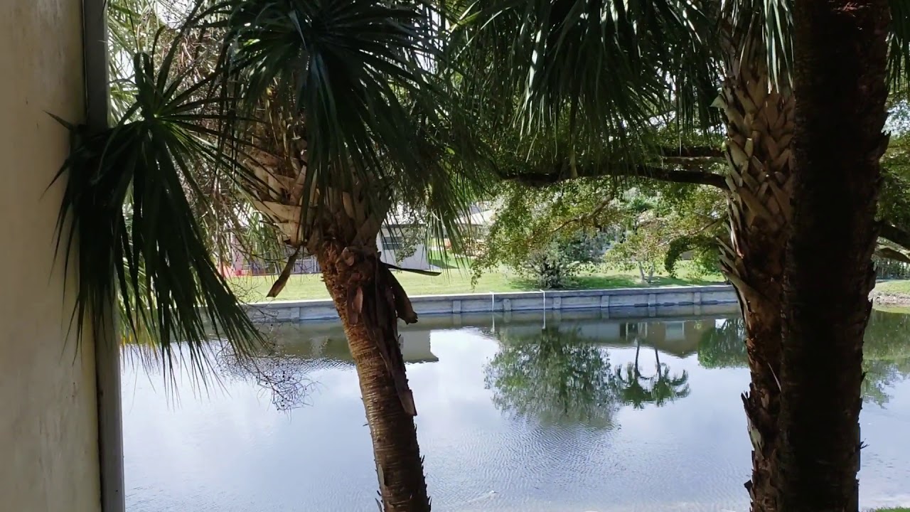 South Palm Condos- 7610 Westwood Drive 