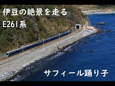 E261系 サフィール踊り子 大海原を横目に伊豆急下田へ駆け抜ける 伊豆急行線　　伊豆稲取～今井浜海岸　　　　RS2編成