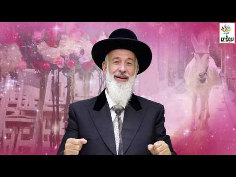 פרשת כי תצא: התחשבות - הרב יונה מצגר HD - רעיון מרתק!