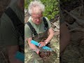 What has twelve legs, ten eyes and one tail? Horseshoe crabs, and it's their mating season