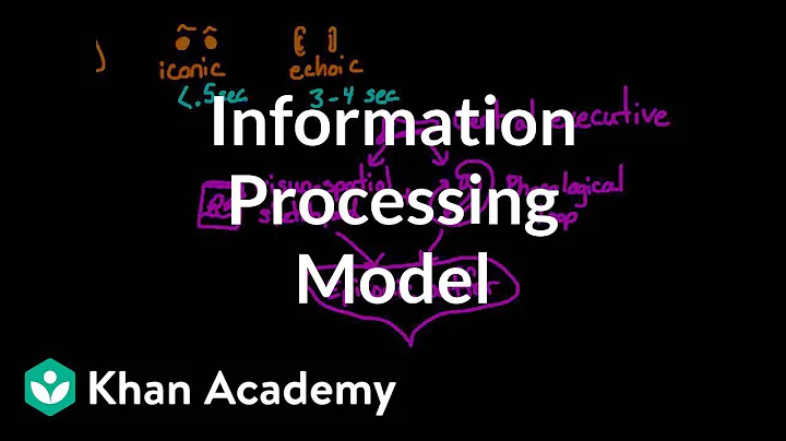 Information processing model: Sensory, working, and long term memory | MCAT | Khan Academy - DayDayNews