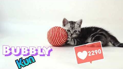 Meh first intro and video