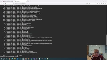 pico2024 time machine