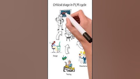 PLM Design and Development shorts