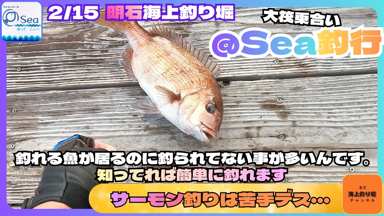【海上釣堀】2/15　@Sea一般乗合釣行