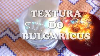 TEXTURA DO BULGARICUS