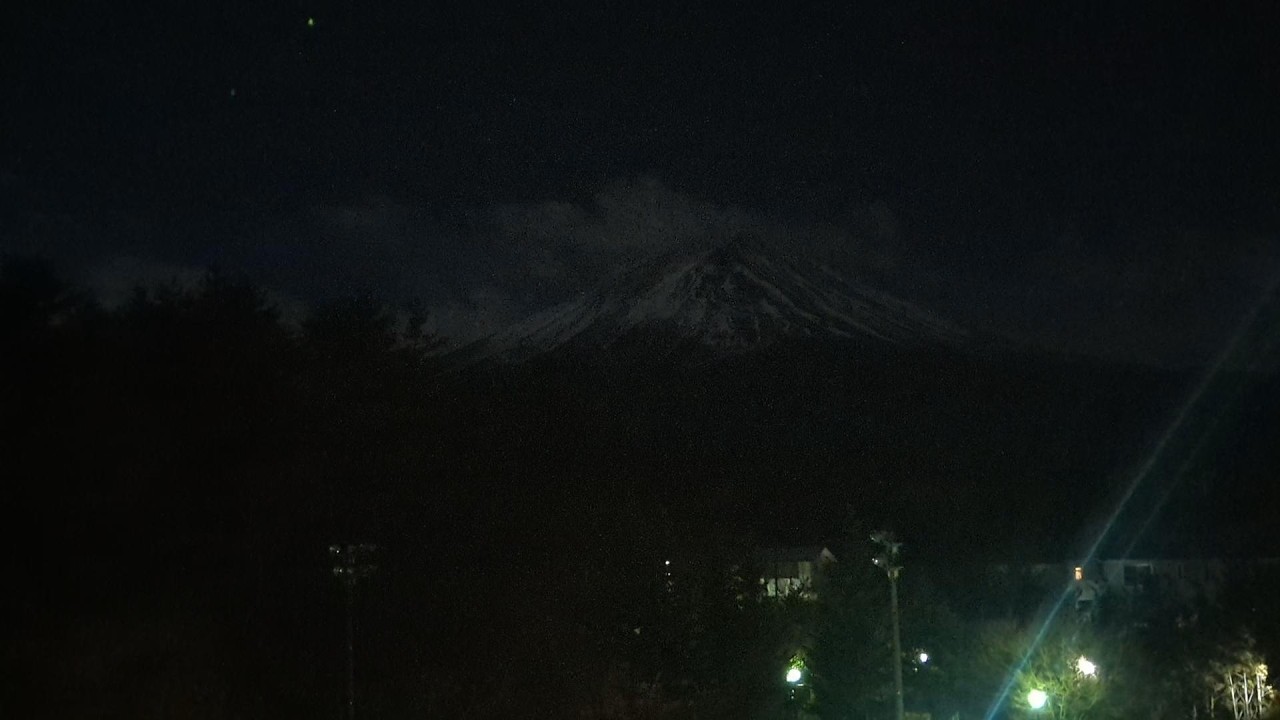 若草珈琲/20260202