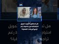 كيف يمكن للكويت مواجهة تراجع الإيرادات النفطية دون أن تجد نفسها في مأزق مالي؟