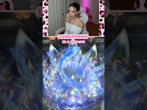New Porcelain skins