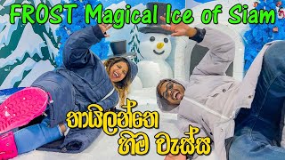 VLOG 168 - සීතලට පිස්සු හැදුනා | FROST Magical Ice of Siam