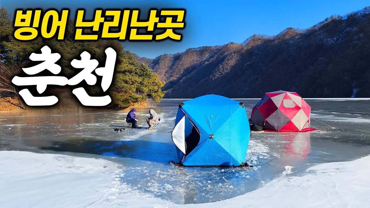 조용한 춘천의 빙어성지. 빙어바늘을 물고 나온 누치 (2호의 음악의신)