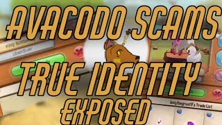 Avacodo scams True Identity EXPOSED | AJPW SCAMMER | ANIMAL JAM PLAY WILD | AJ PLAY WILD | ANIMALJAM