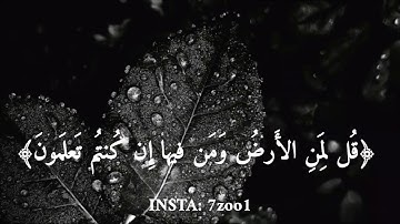 اجمل حالات واتس اب دينية سورة الكهف تلاوة خاشعة #الكهف #دينية #واتس #حالة  #قران