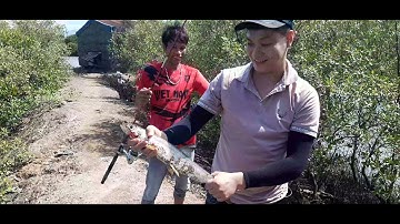 câu cá đục ở vuông vủng tàu, dính cua to và cá nhòng