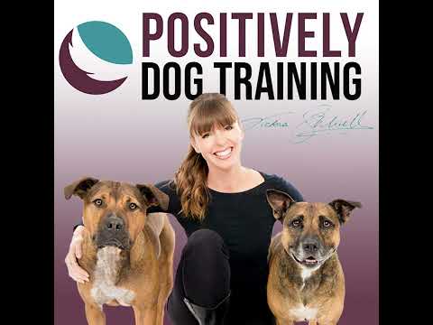 A Roundtable Discussion: Building meaningful connections with your dog