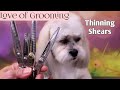 Thinning Shears, Blending Shears, Texturizing Shears and Chunkers