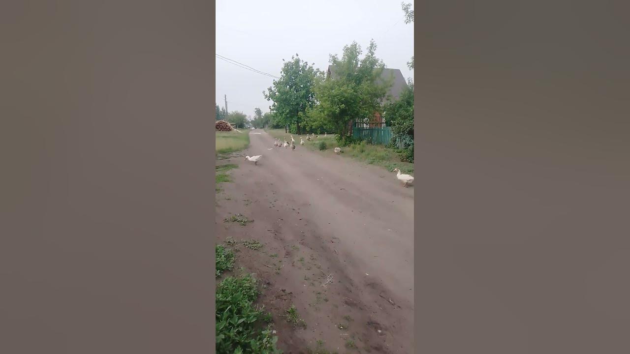 Здравствуйте 👋 - YouTube