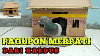 cara membuat kandang merpati dari kardus || how to make a pigeon cage