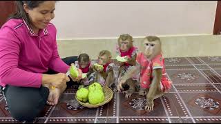 Aww Sovan So Sad Want Mom Attention Getting The Last Piece Drama At Mom