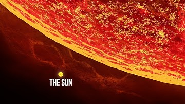 Comparison of the Biggest Things in the Universe