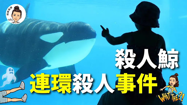 【真相】它是世界上最知名的殺人鯨！被囚禁33年，徹底發瘋，從人類的「朋友」變成了殺害3個人的「兇手」！虎鯨提里庫姆的悲劇是怎樣釀成的？背後的真相是什麽？【晴耕雨讀｜Ashley】#虎鯨 #自由 #迷案