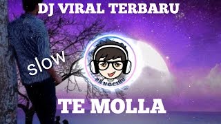 DJ VIRAL TERBARU TE  MOLLA-ARNON FT. KILLUA SLOW BASS REMIX PALING ENAK