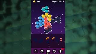 Block Hexa Puzzle screenshot 1