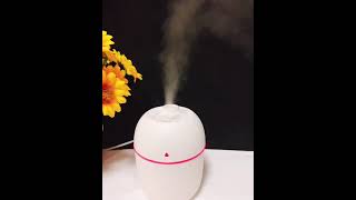 WD-220 Cheap Price Mini Humidifier