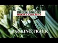 Booker t and the mgs backing track  green onions  key e