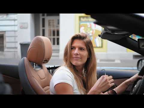 Wibmer S Law Fabio Wibmer