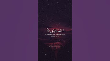 (لله ما في السماوات وما في الارض وان تبدوا ما في انفسكم او تخفوه يحاسبكم به الله)للقارئ ياسر الزيلعي