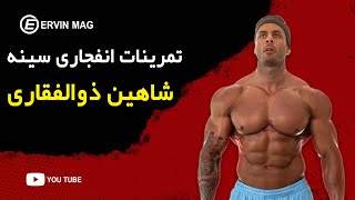 تمریات سینه با شاهین ذوالفقاری